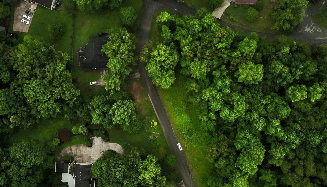 Low-rise homes spread through mature tree cover, seen from above